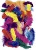 Перья декоративные цветные ассорти 40 - 200 mm, 25 g