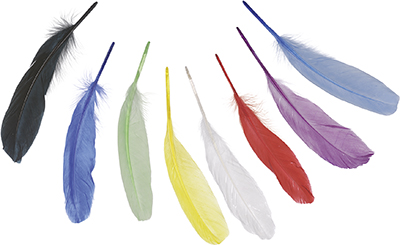 Goose Feathers 20 cm 8pcs ― VIP Office HobbyART