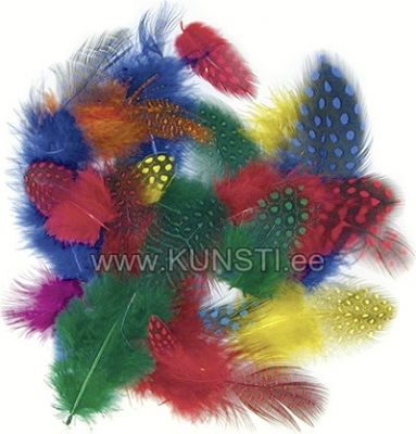 Guineafowl Feathers 10gr 4 - 6 cm 4 assorted colours (yellow, red, blue, green) ― VIP Office HobbyART