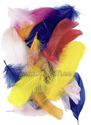 Goose Feathers 7 - 8 cm yellow, orange, red, rose, pink, blu ― VIP Office HobbyART
