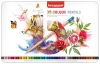 Набор цветых карандашей Bruynzeel Expression Colour 36 шт в метал.коробке