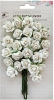 Catalina - Charm, 25pcs 