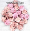 Handmade Flower - Pearl Blossom- Pearl Pink, 24pcs