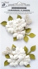 Handmade Flower - Gianna Shabby Chic 2pc
