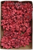 Handmade Flower - Celestina Love and Roses 20pc