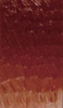306 Красная светлая Акриловая краска "Phoenix" 75ml