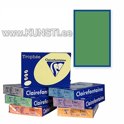 Clairefontaine Trophee paber A4 210x297mm 160gr 250l 1007 Billiard Green ― VIP Office HobbyART