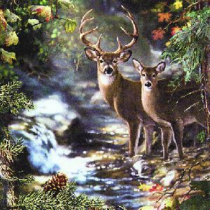 Salvrätikud - Салфетка для декупажа - 33 x 33 cm Deers on a Creek
