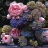 Napkin - 33 x 33 cm Hortensias y Rosas