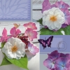 Napkin - 33 x 33 cm Bright Summer Day lilac
