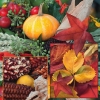 Napkin - 33 x 33 cm Harvest Collage