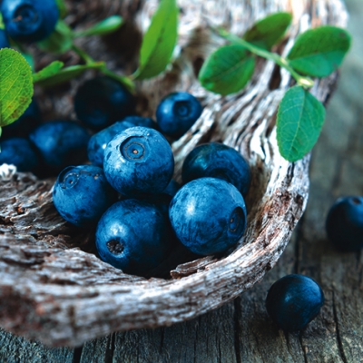Salvrätik - 33 x 33 cm Blueberries