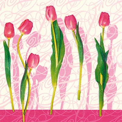 Salvrätik - 33 x 33 cm Tulip Dreams pink