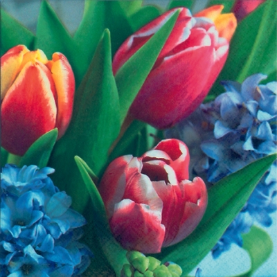 Salvrätik - 33 x 33 cm Tulipan & Hyacinth
