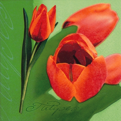 Salvrätik - 33 x 33 cm Tulipe