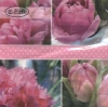 Салфетка для декупажа - 33 x 33 cm Tulipes Roses pink