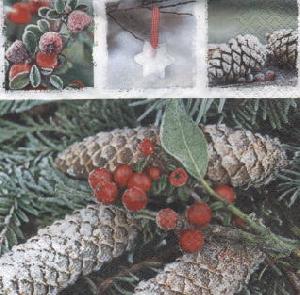 Salvrätikud - Салфетка для декупажа - 33 x 33 cm Red Frozen Berries