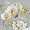 Салфетка для декупажа NV-74467 33 x 33 cm Orchidee