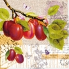 Салфетка для декупажа NV-74519 33 x 33 cm Botany Plum