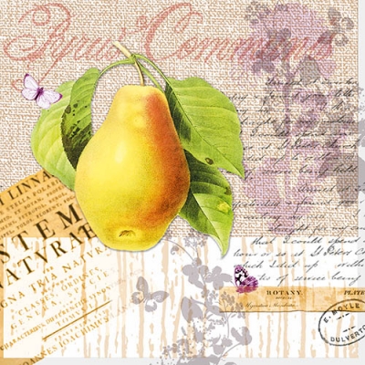 Napkin NV-74521 33 x 33 cm Botany Pear  ― VIP Office HobbyART