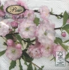 Salvrätik - 33 x 33 cm Flowering Almond