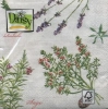 Salvrätik - 33 x 33 cm Herbs