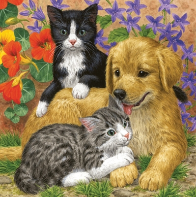Salvrätikud SLOG-027601 33 x 33 cm Hund und Katzen