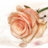 Салфетка для декупажа SLOG-028701 33 x 33 cm Rose