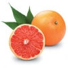 Fragrance oil 10ml, Grapefruit