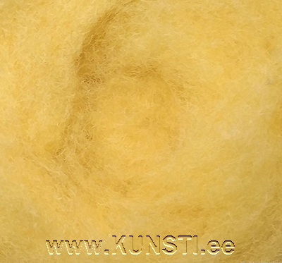 Шерсть для валяния, кардочёс 500g 2017 ― VIP Office HobbyART