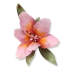Sizzix SG thinlits dies flower lily