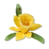 Sizzix SG thinlits dies flower daffodil
