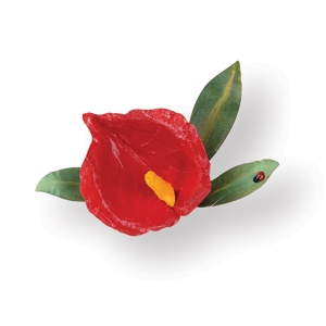 Sizzix SG thinlits die set 5pk flower anthurium ― VIP Office HobbyART
