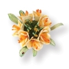 Sizzix SG thinlits die set 5pk flower clivia