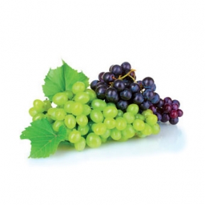 Fragrance oil 50ml, grape ― VIP Office HobbyART