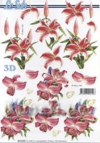 Карта для 3Д декупажа, A4  LeSuh 8215-439 ― VIP Office HobbyART