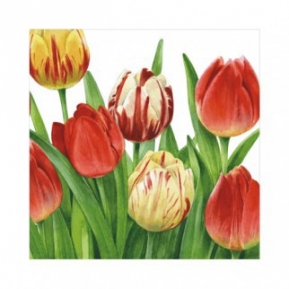 Салфетка для декупажа TULIPS WORLD white ― VIP Office HobbyART