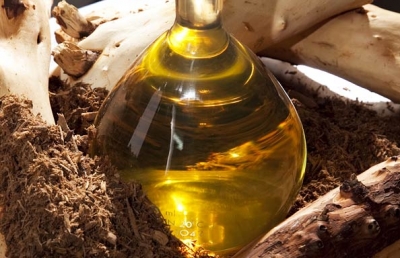 Fragrance oil 50ml, Sandalwood ― VIP Office HobbyART