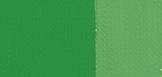 304 Зеленая светлая яркая краска акриловая Polycolor Maimeri 20 мл ― VIP Office HobbyART