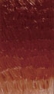 306 Красная светлая Масляная краска "Phoenix" 60мл