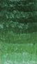 568 Травяная зеленая Акриловая краска "Phoenix" 75ml