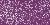 Polümeersavi Cernit Glamour 900 violet
