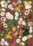 Decoupage paper 255007 60gr