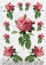 Rice decoupage paper FLO_0034