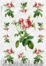 Rice decoupage paper FLO_0041