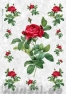 Rice decoupage paper FLO_0042