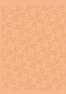 Пластина для тиснения Craft Concepts CR900055 Funky Poinsettia