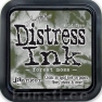 Ranger distress Ink, forest moss