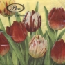 Салфетка для декупажа Tulips World Yellow SDL003101