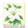 Салфетка для декупажа BOTANIC MAGNOLIA champagne